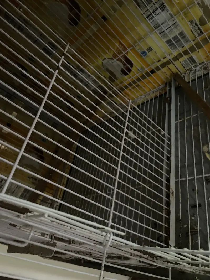8 Portion Partition Bird Cage for Sale (Used Like New) — photo 4