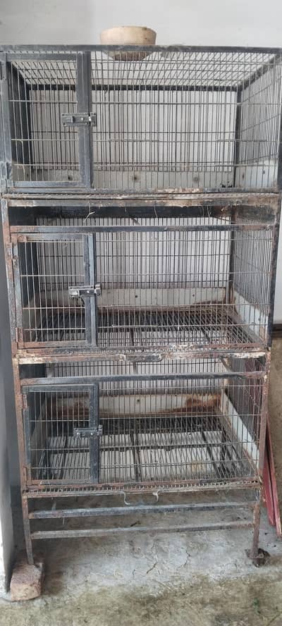 rabbit cages