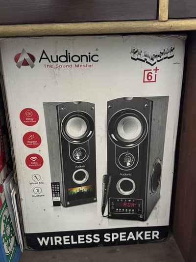 Audionic classic 6+ tower speakers.