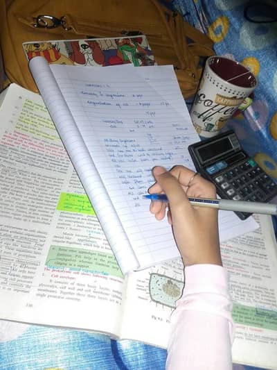 Assynment home work online