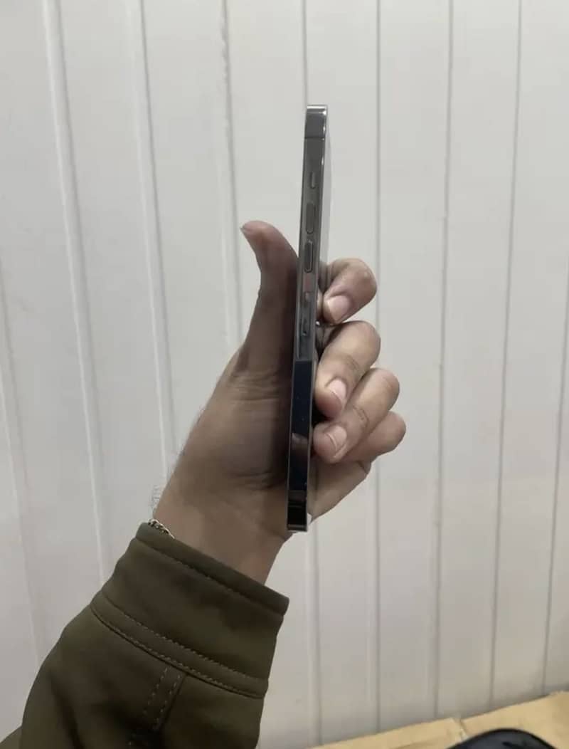 13 pro max 1