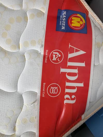 Master Molty Foam Alpha Spring Mattress