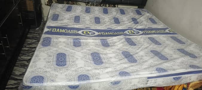 03095067303 foamoasis company. . . .