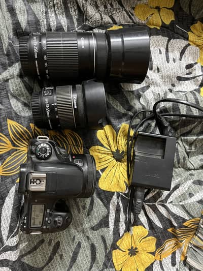 Canon EOS 77D with 18-55, 50mm and 55-250 lenses