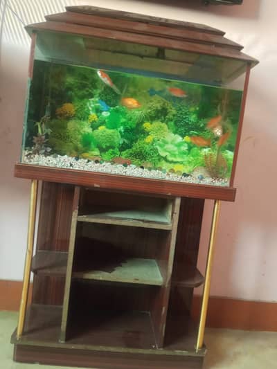 Aquarium For Sale