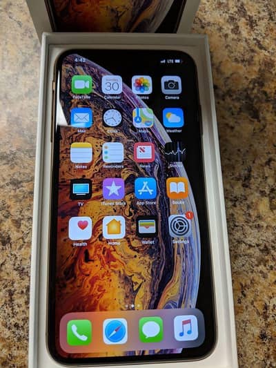 iPhone XS Max 256 PTA approved