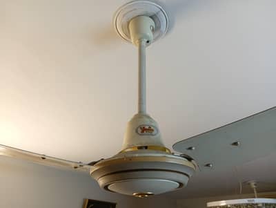 Ceiling Fan Large 56 inch