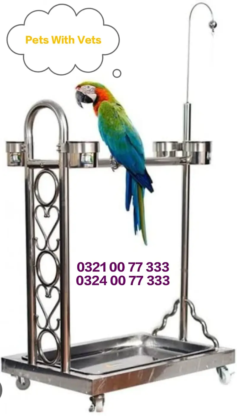 Grey | Parrot | Macaw & Cockatoo Bird Customized cages | Parrot cage — photo 6
