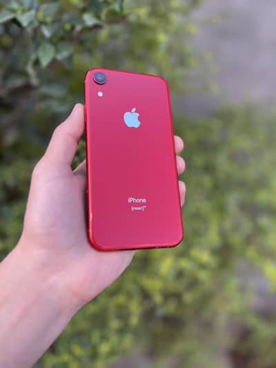 IPHONE XR (EXCHANGE POSSIBLE)