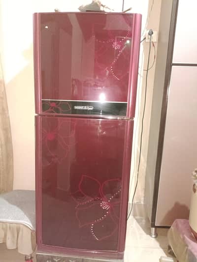 Glass Door Fridge