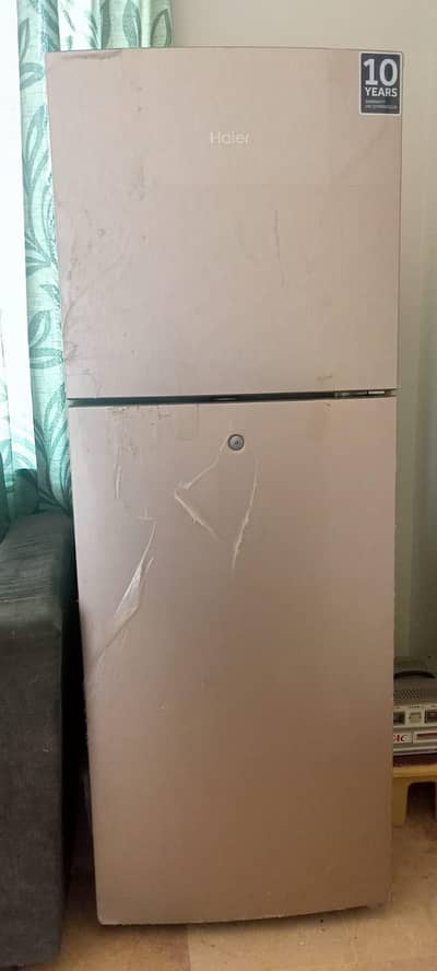 Haier - Fridge