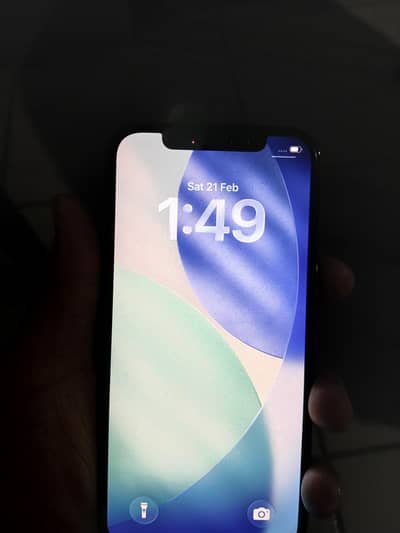 12 pro 128gb non pta