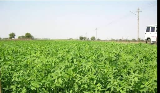 1 Kanal Plot For Form House