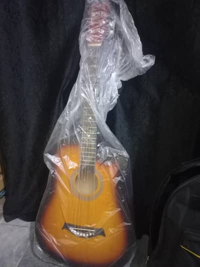 GUITAR WITH ALL ACCESSORIES
