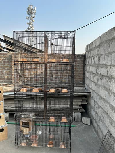 8 portion  zarar cage