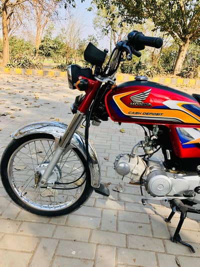 Lush Condistion CD 70  2025 Modal