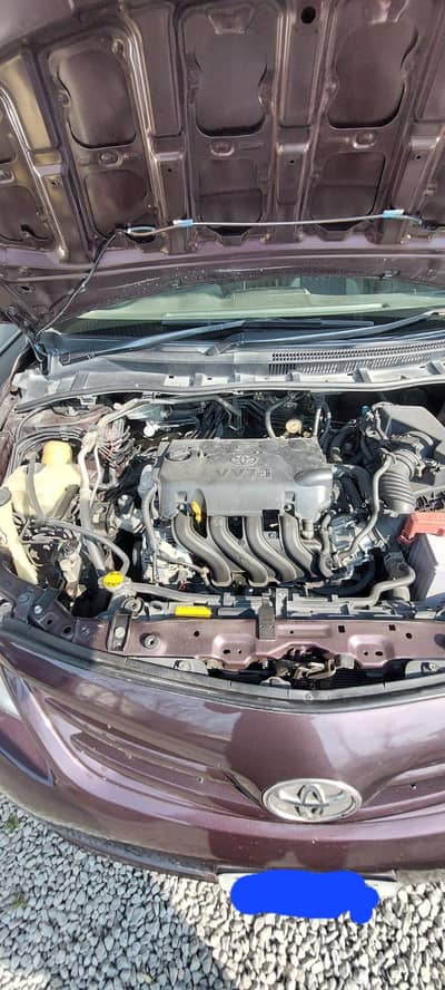 Location: ( city/area)