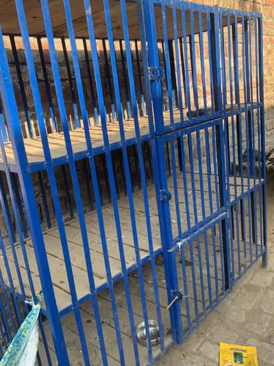 Pinjara and all saman