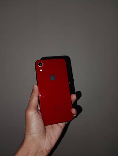 iPhone Xr 128 Waterpack