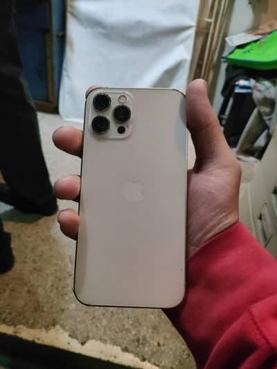 iphone 12 pro max water pack exchange possible