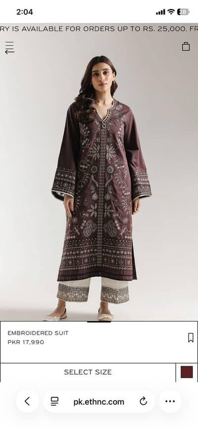 Ethnic embroidered suits