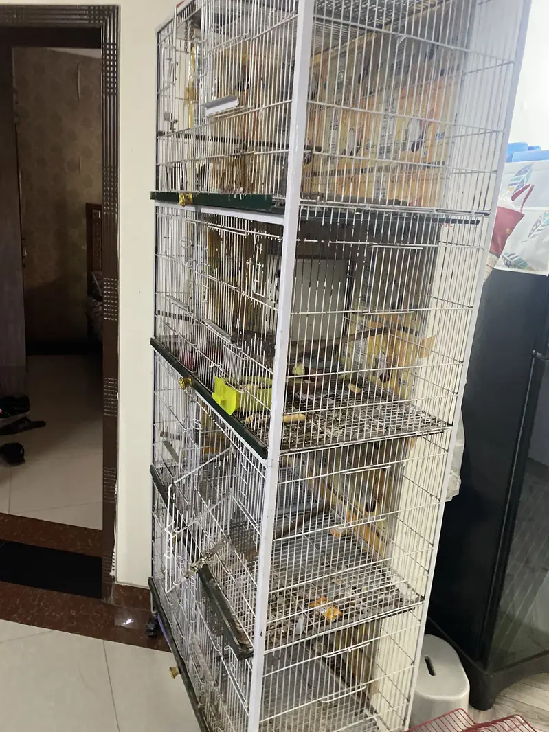 8 Portion Partition Bird Cage for Sale (Used Like New) — photo 5