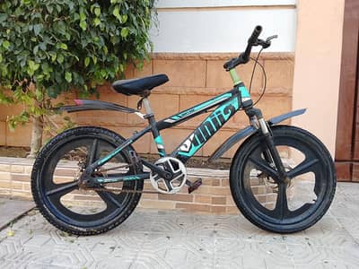 SHBJIA imported cycle - 20 size - 0320/2257/271