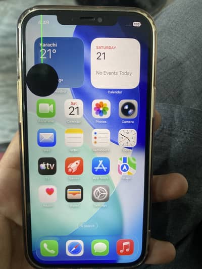 Iphone 12 pro max panel