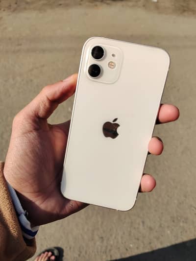 iPhone 12 dual pta 128gb