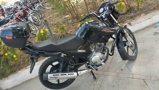 Yamaha YBR 125 (2021) – Antique Condition