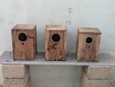 Lovebird Breeding Boxes ( Keekar )