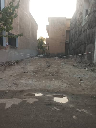 Beautiful plot investor prize