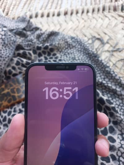 Apple iPhone 12 Pro Max