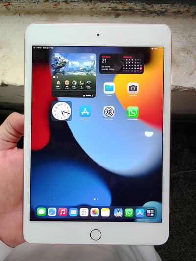 Ipad Mini 5 Origional Condition