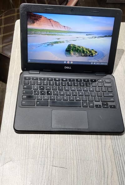Dell Touch Chromebook 11 3100 2029 updates