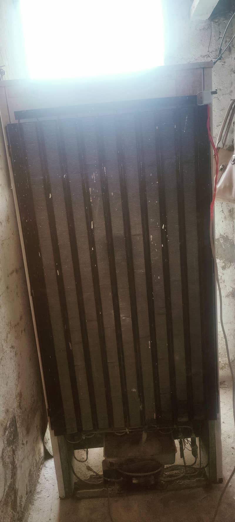 ہمارے پاس بجلی نہیں ہے 4