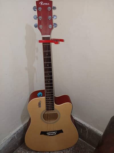 acoustic guitar