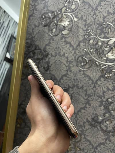 iPhone xs All ok 64 03299845059