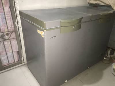 Dawlance 91998 signature LVS champagne