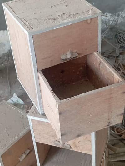 parrot boxes