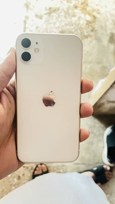iPhone 11 PTA approved