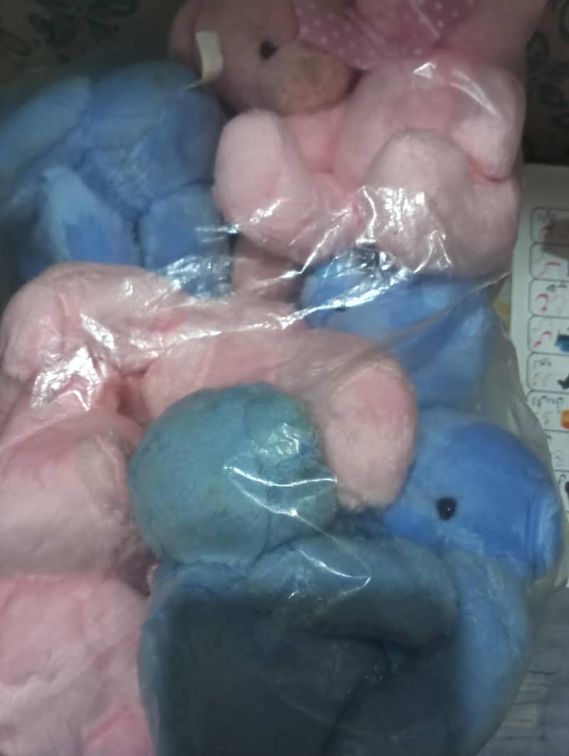 bhaloo medium size 1