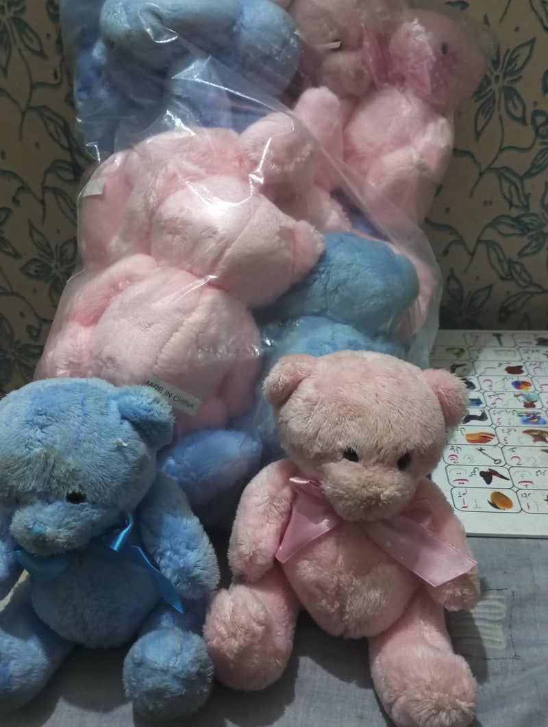 bhaloo medium size 2