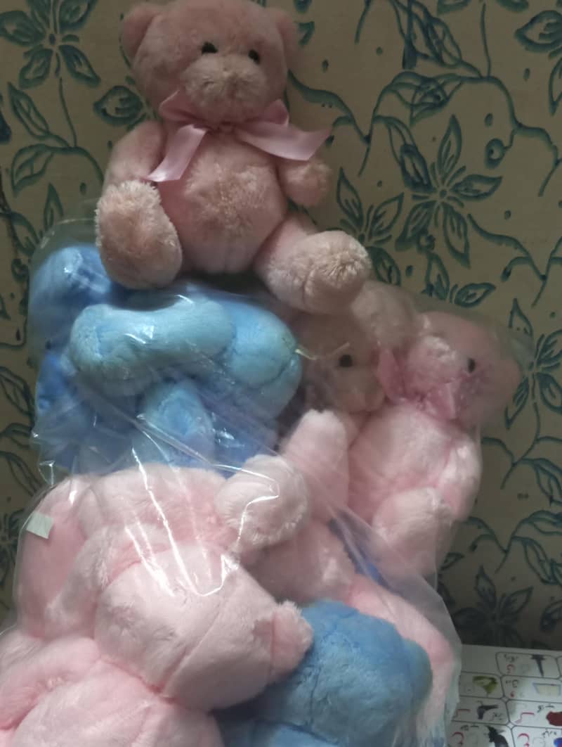 bhaloo medium size 3