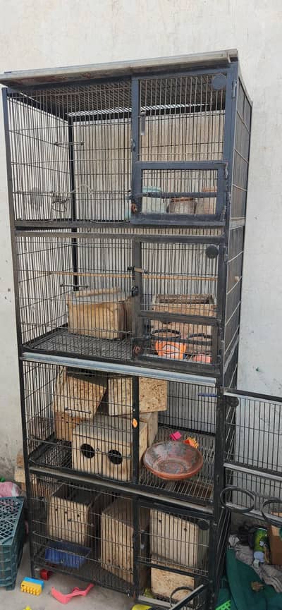 طوتوں کے لیے کیج بنوایا ہے چھ فٹ اونچا ہے اور مضبوط ترین بنا ہوا ہے