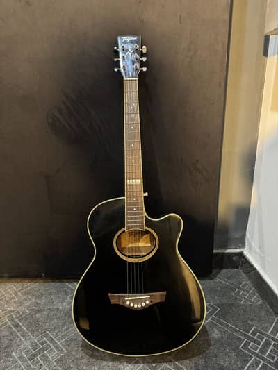 Tagima Guitars Dallas Series