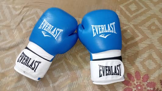 everlast boxing gloves