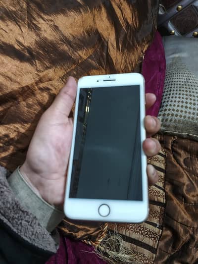 Pta approved official ( 8 plus )