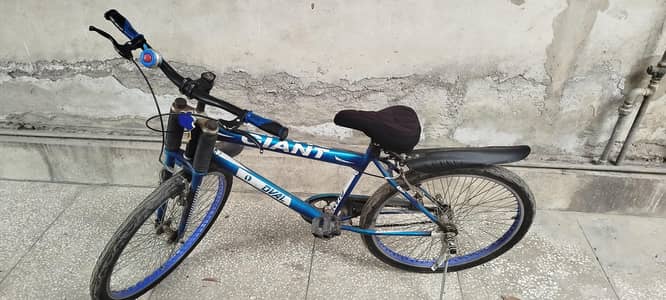 giant oval 26 inch framed cycle