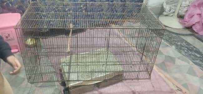 iron cage for sale size 1.5 by 3 hai (0320-4606534)